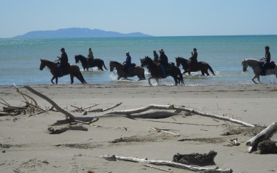 Passeggiate a cavallo in maremma